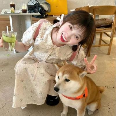 综艺大集合
